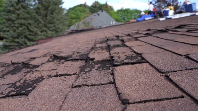 Best Roof Ventilation Installation  in North Scituate, MA