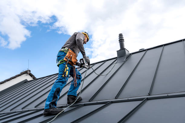 Best Roof Moss and Algae Removal  in North Scituate, MA